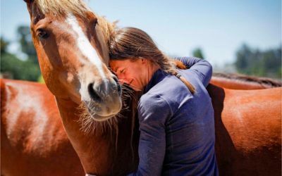 Transformation Through Working with Horses