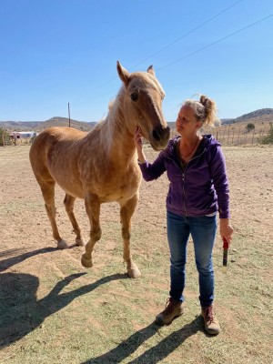 Casita luna and wendy